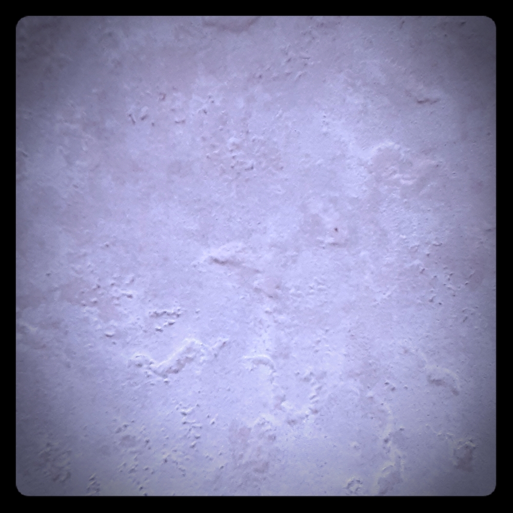 Absolutely Nothing 🤣🤣